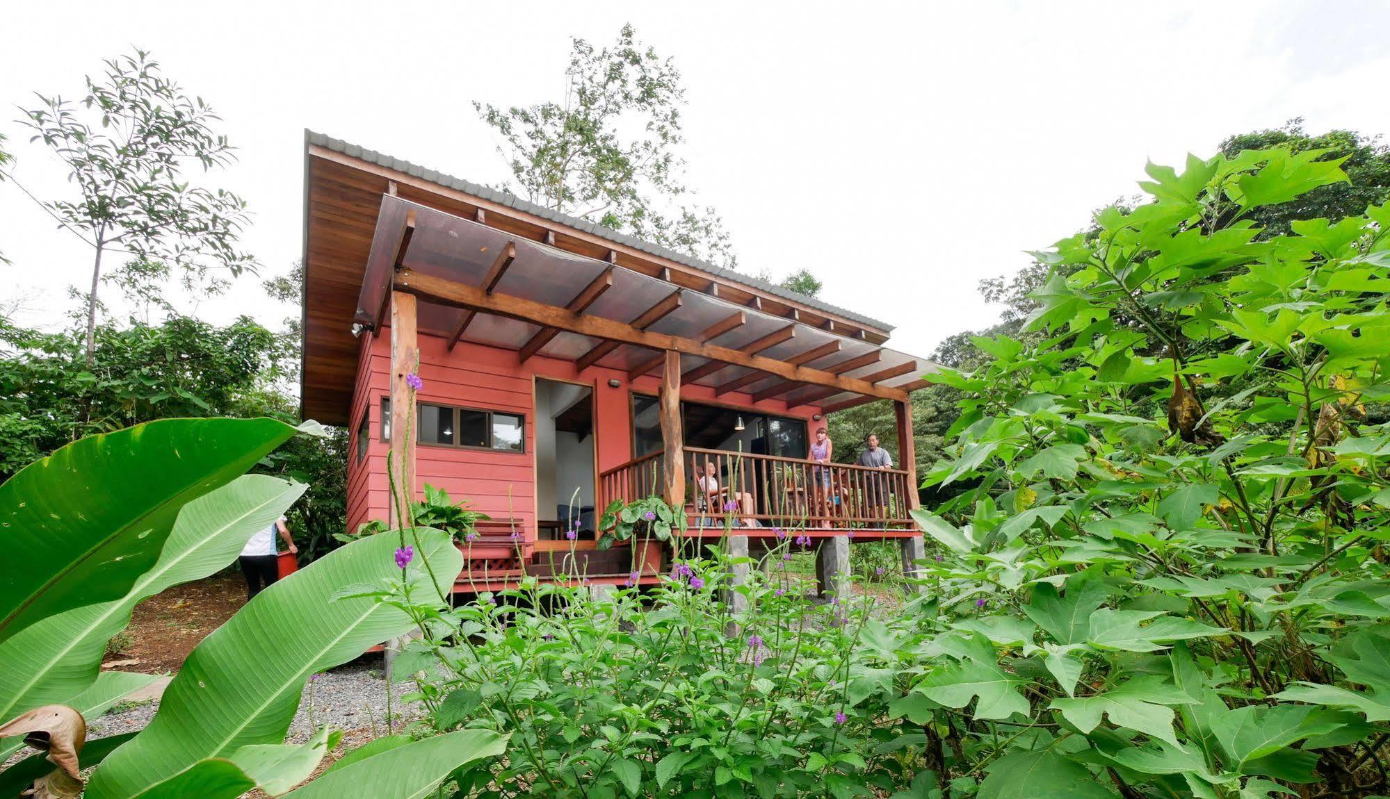 Casitas Tenorio B&B And Farm Bujagua Buitenkant foto